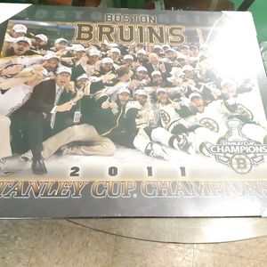 2011 Stanley cup  plak